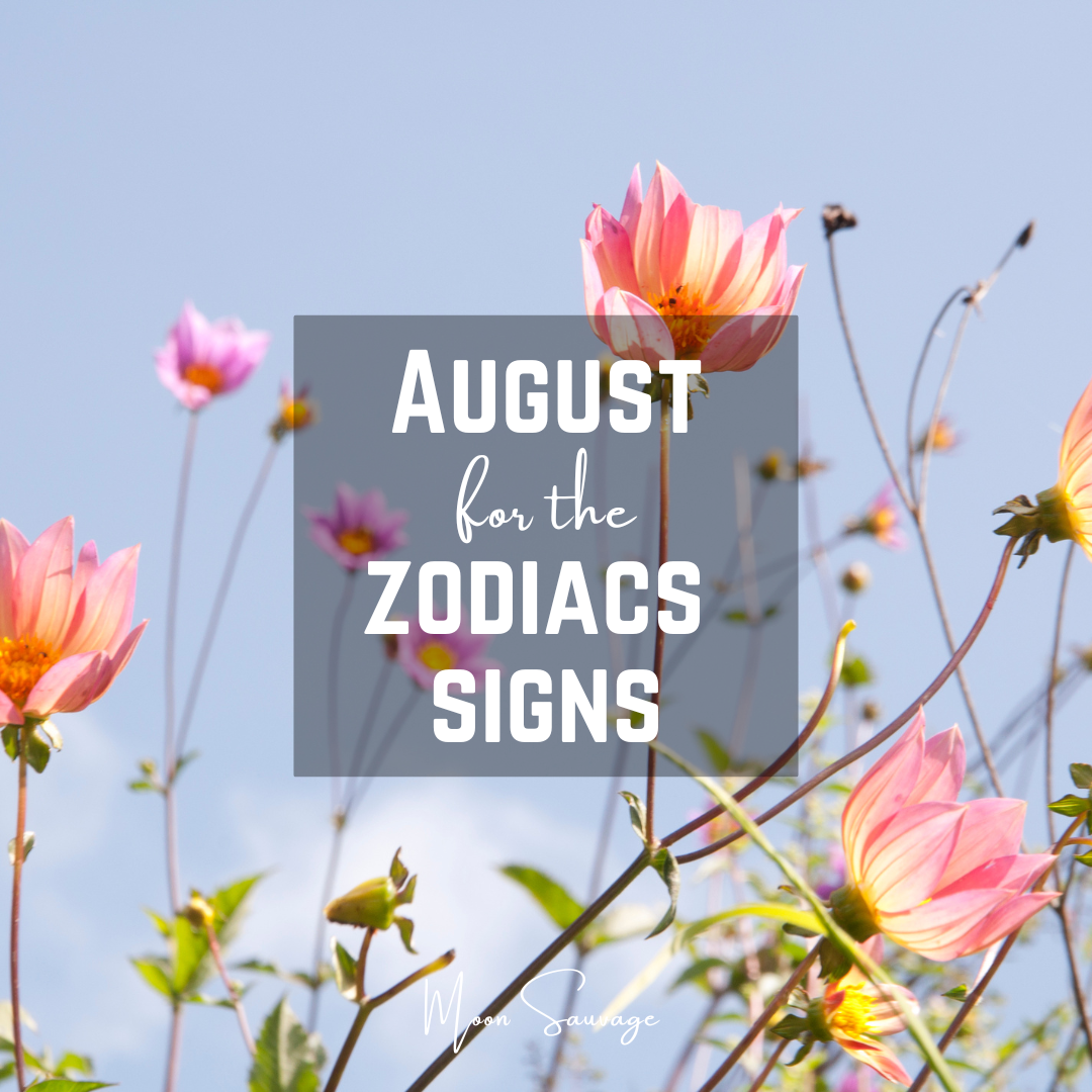 Monthly Tarot Readings: August Zodiac Predictions & Insights