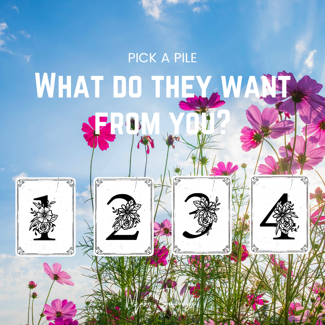 What do they want from you? A Tarot Reading.