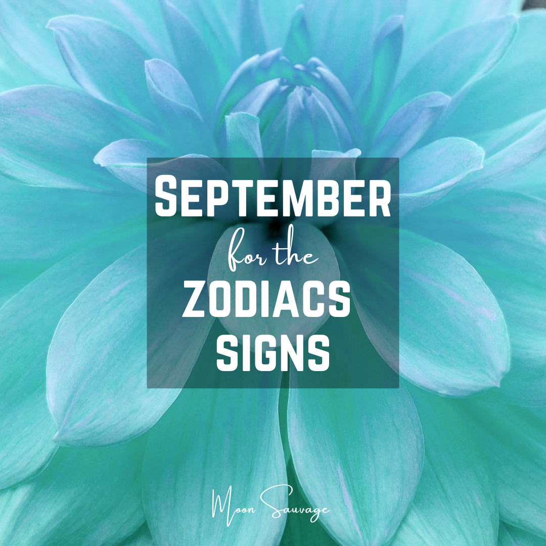 Monthly Tarot Readings: September Zodiac Predictions & Insights