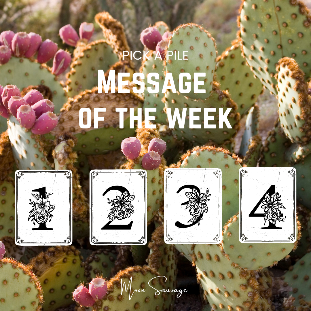 Your message for the week. Insights from the Tarot cards.
