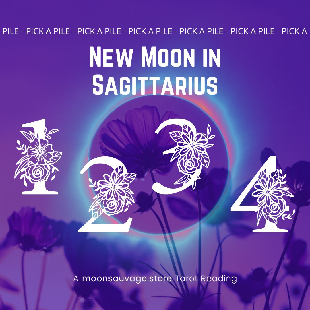 New Moon in Sagittarius and its message from the cards for you!