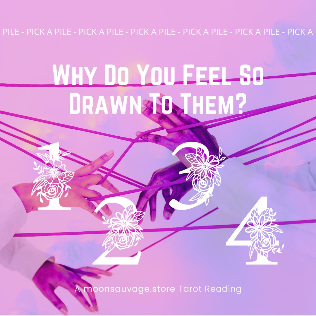 Why Are You So Drawn to Them? Tarot Insights on Soul Connections