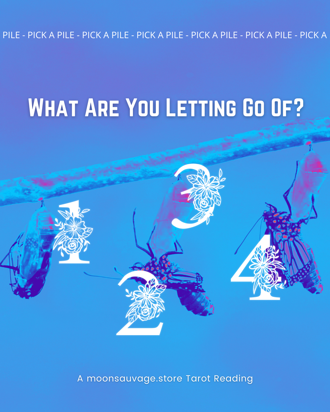 What are you letting go of? 