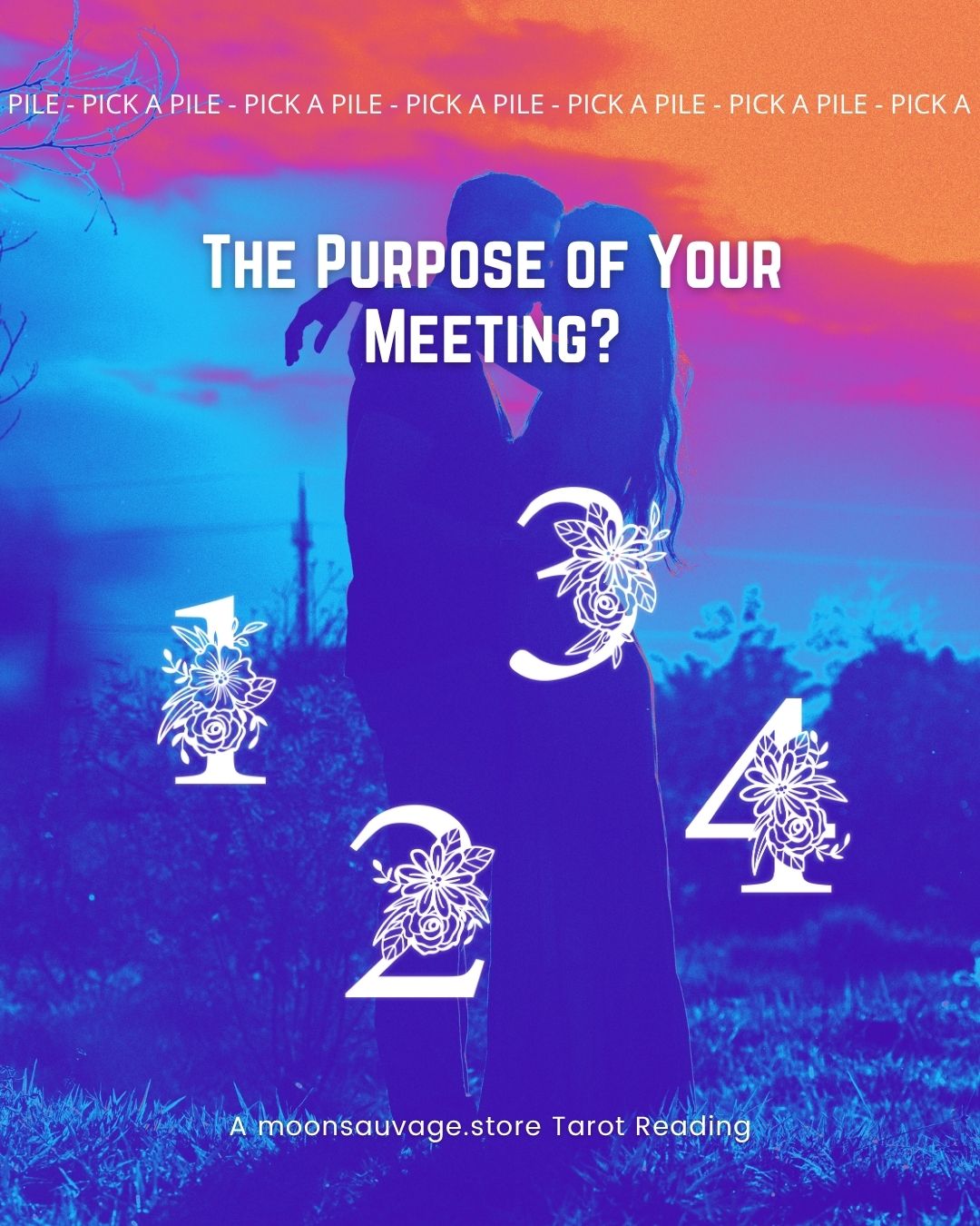 The purpose of your meeting? 